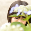 紫陽花からいないいないばあ