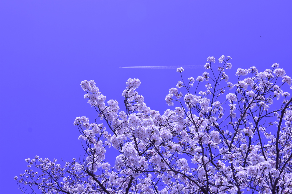 流れ雲