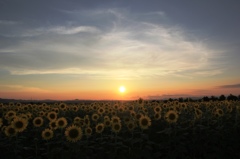 盛夏夕憧