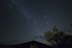 Perseid Meteor Shower