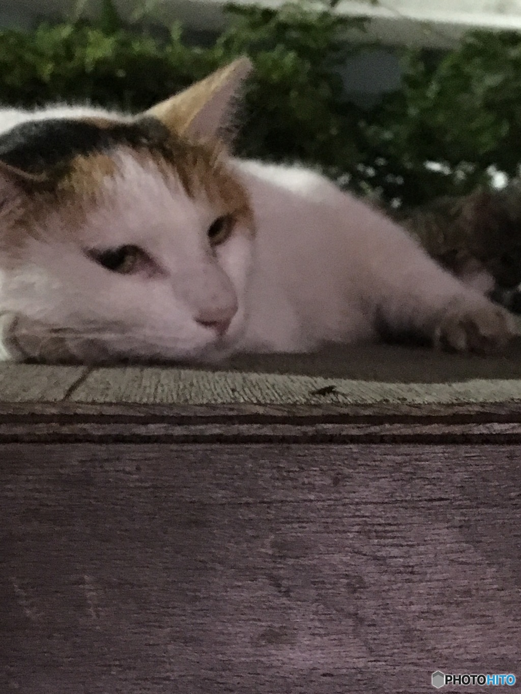 ふーん