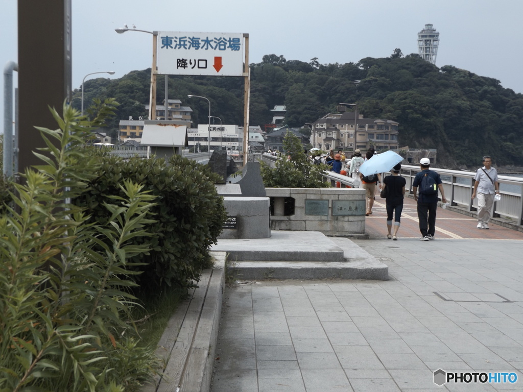 江ノ島大橋