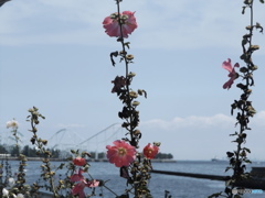 海の公園