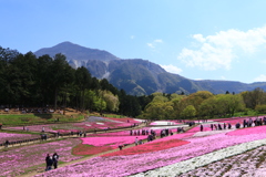 羊山公園