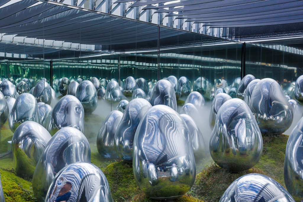 小宇宙の苔庭