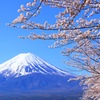 富士と桜