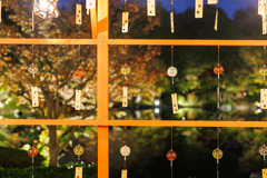 秋の夜長