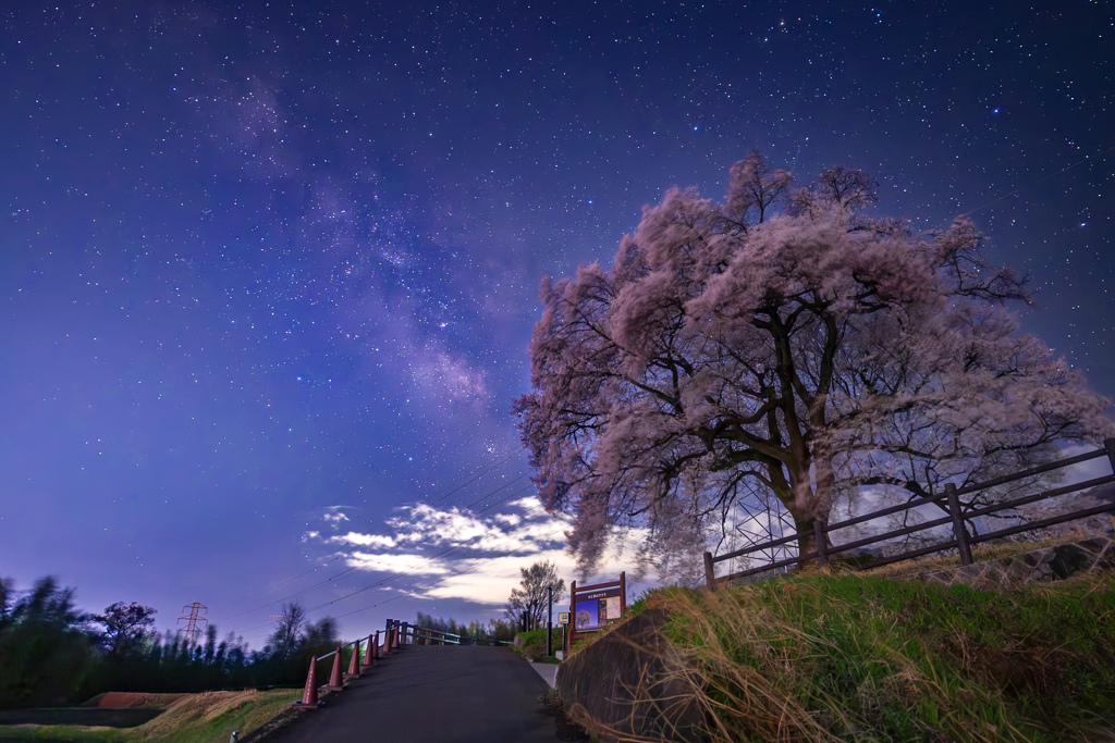 桜色の夜空