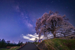 桜色の夜空