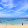 土盛海岸