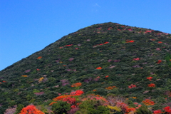 島の紅葉