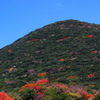 島の紅葉