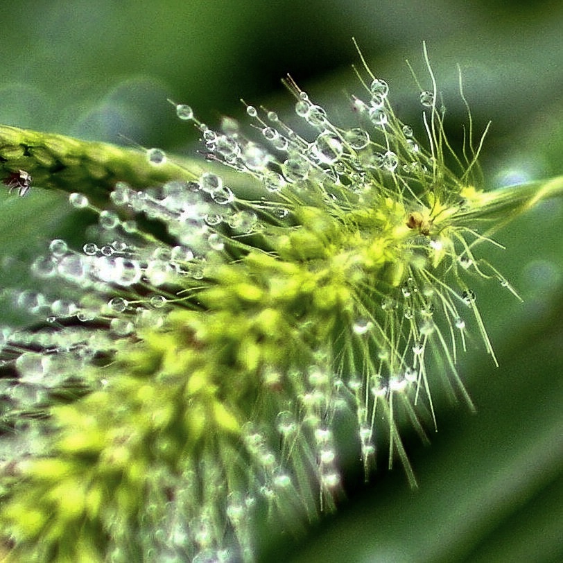 雨音