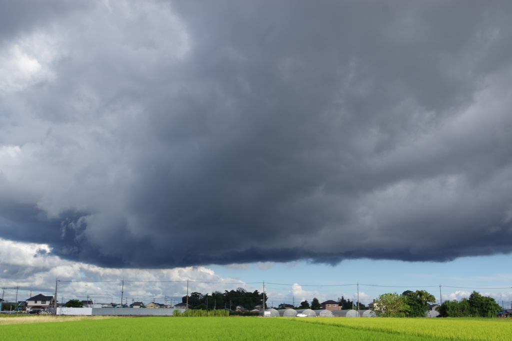 西へ流れる雲