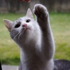 至福の時…