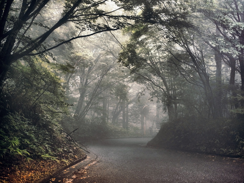 霧の山道