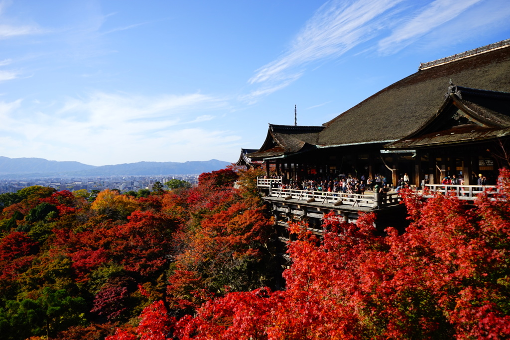 紅葉狩り