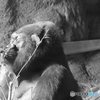 愛の伝え方