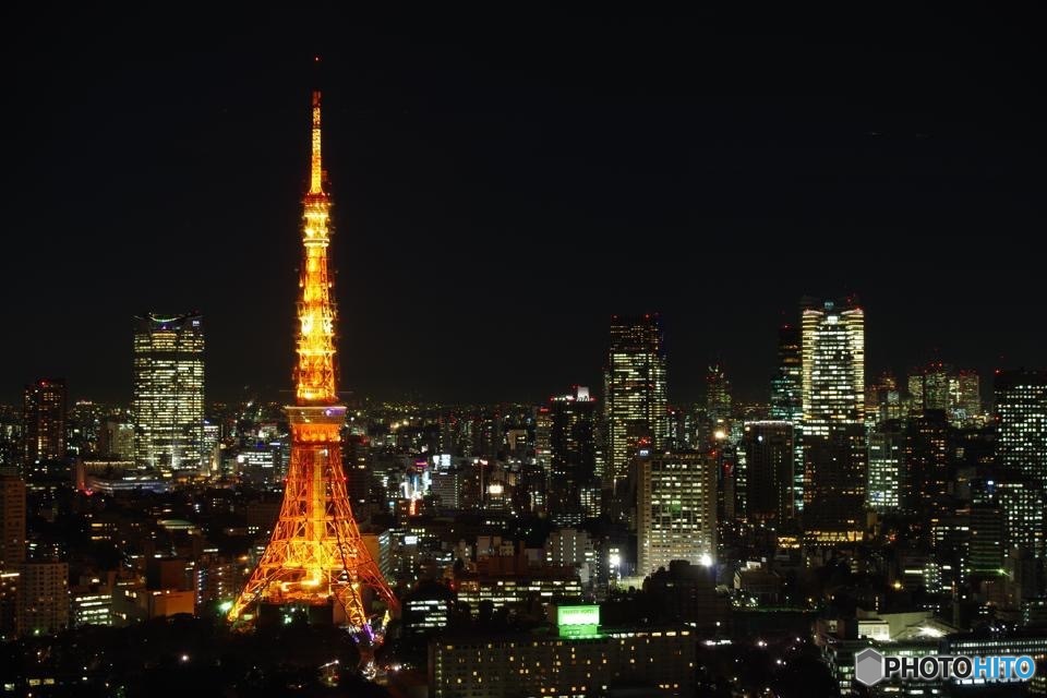 TOKYO CITY LIGHT
