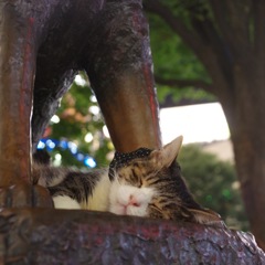 ハチ公に寄り添う猫ちゃん