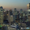 TOKYO CITY LIGHT2