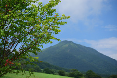 夏っていいな