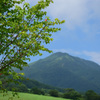 夏っていいな