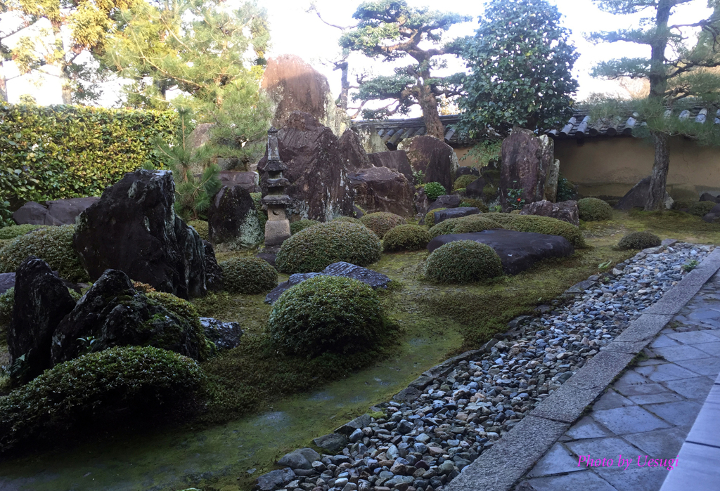 20160105_一休寺の枯山水