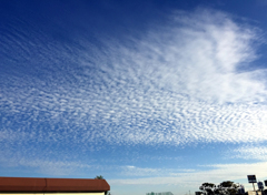 20171101_秋空の群鰯