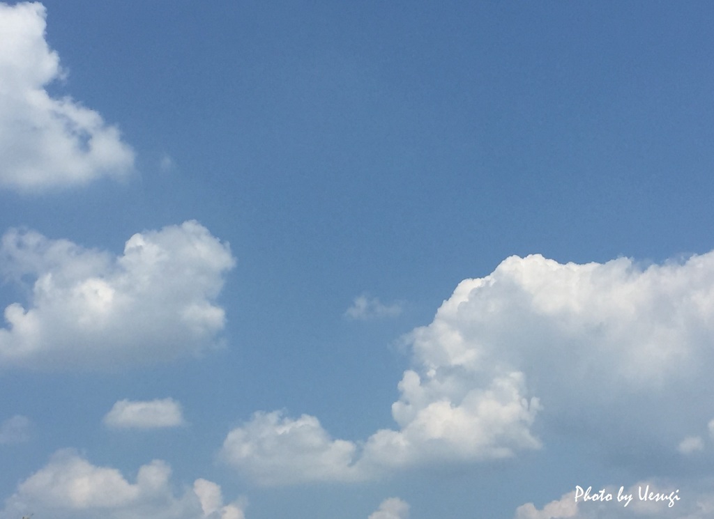 20160820_Blue sky at the late summer