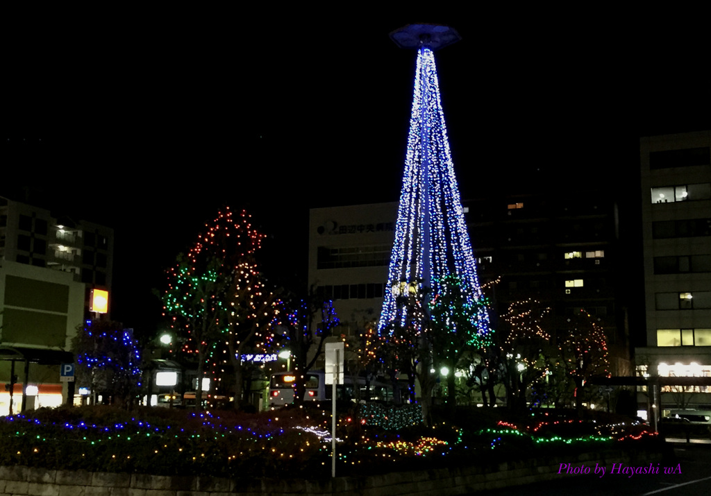 20141224_Tree of 京田辺