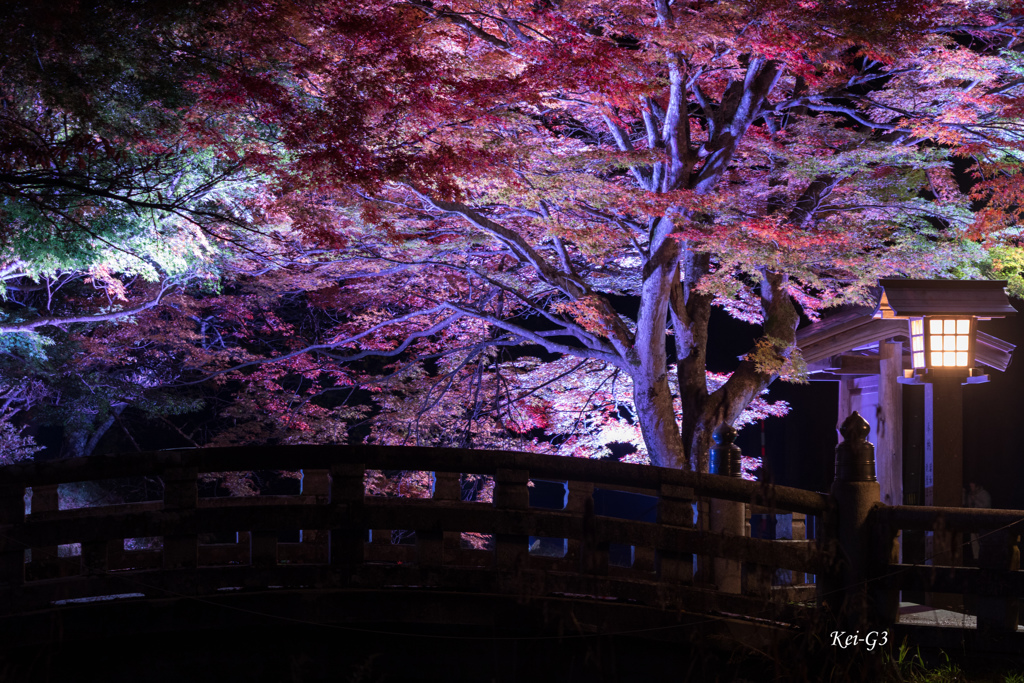 土津神社 4