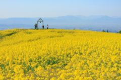 天空の菜の花畑