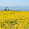 天空の菜の花畑