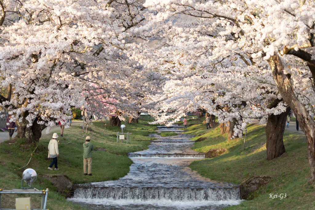 観音寺川