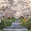 観音寺川