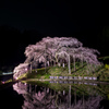 中島の地蔵桜