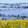 ひたち海浜公園
