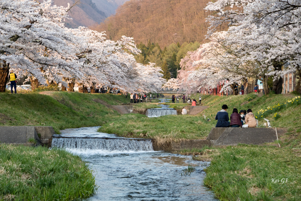 観音寺川