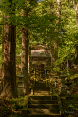 隠津島神社