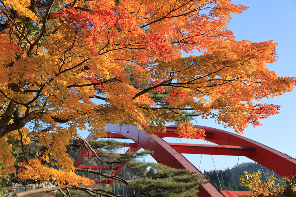瑞光寺公園