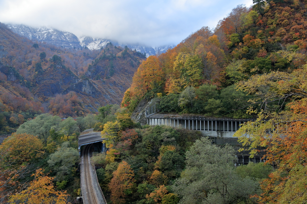 田子倉湖の紅葉