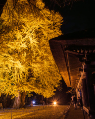 新宮熊野神社
