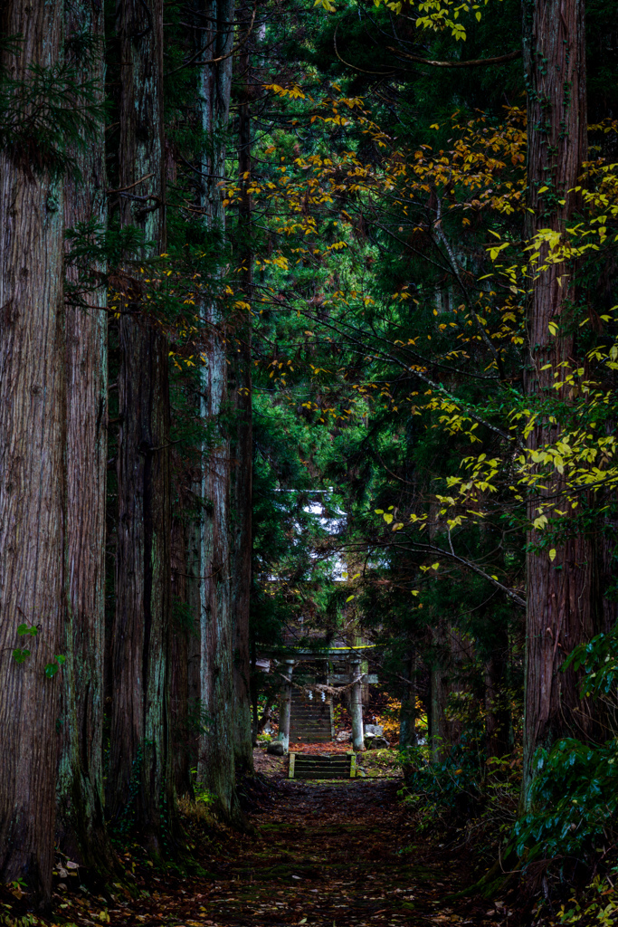 参道