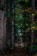 参道