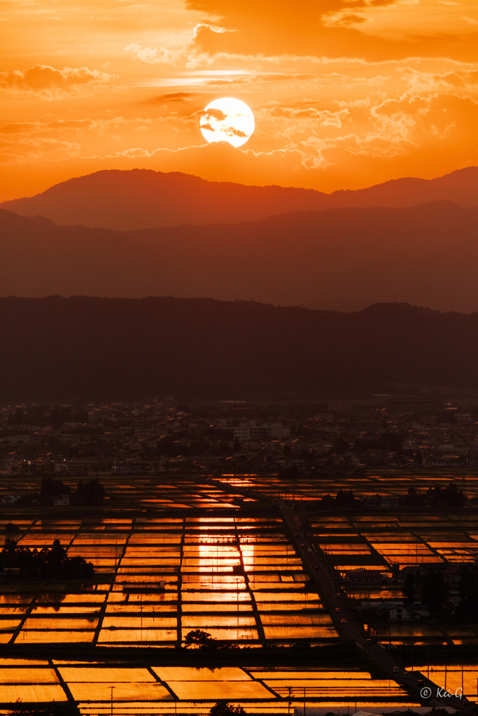 太陽に吠えろ！ by Kei-G （ID：7826322） - 写真共有サイト:PHOTOHITO