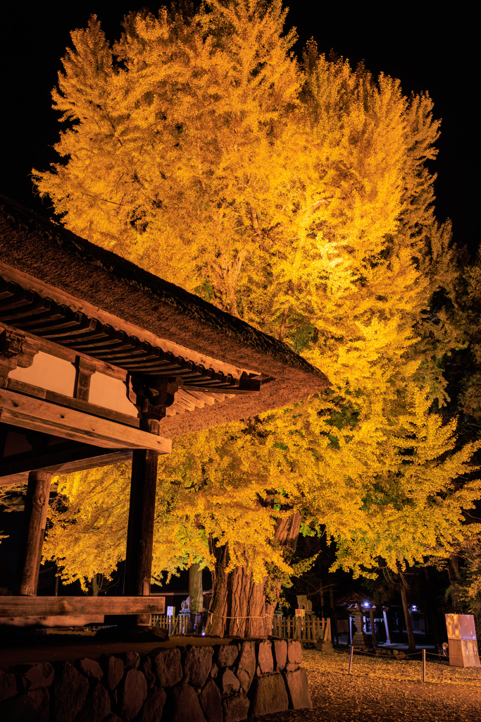 新宮熊野神社