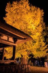 新宮熊野神社