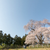 春を迎える
