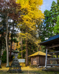 人気の無い神社で